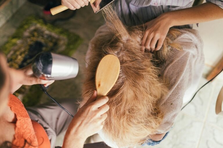 Mobile Dog Grooming: Pros, Cons, and What to Expect in 2026