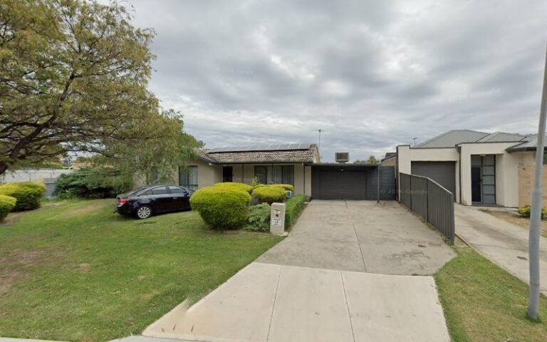 Squeeky Kleen K9 - listing photo