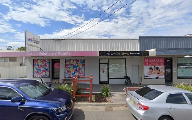 Snippets Dog Grooming - listing photo