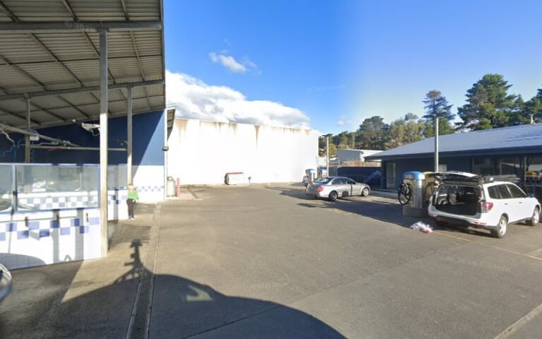Kingston Dog Wash - listing photo