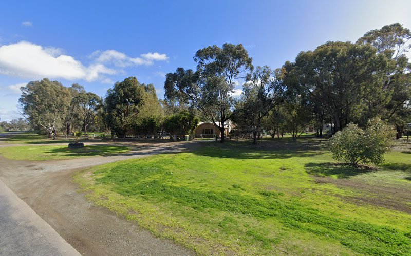 Shampooch clipping and grooming - Dog groomer in Echuca Village