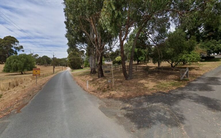 Adelaide Hills pet grooming