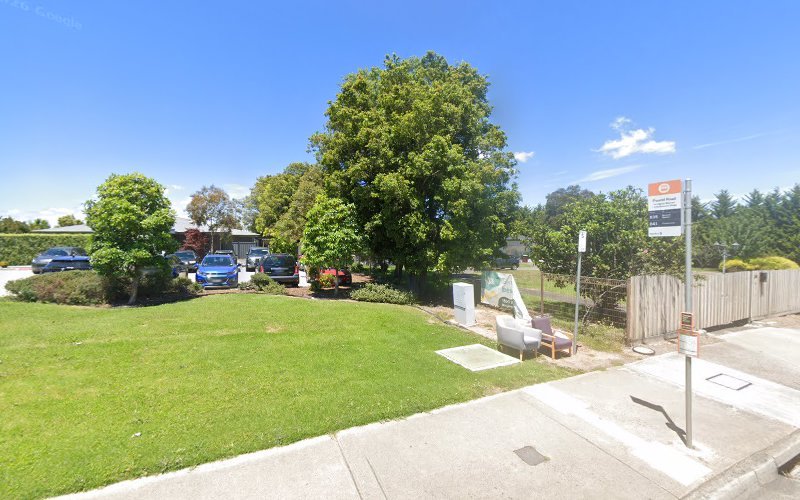 Luna Eclipse - Dog groomer in Narre Warren South