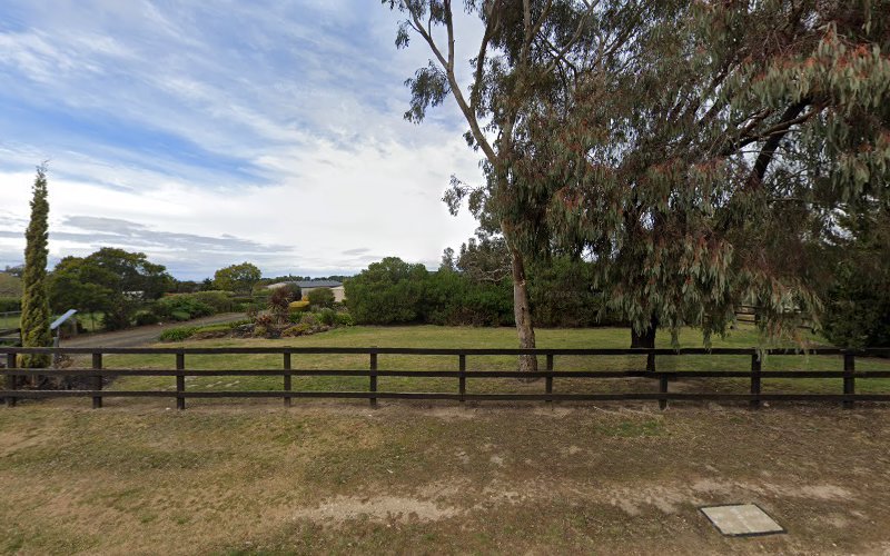 189 Markham Rd - Dog groomer in Gisborne