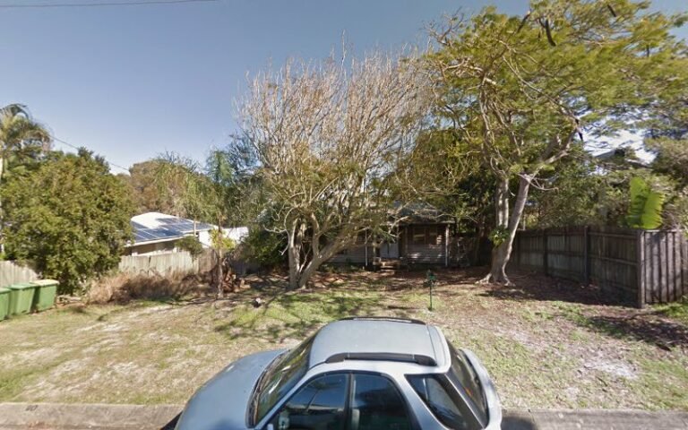 Sandy paws dog groomer