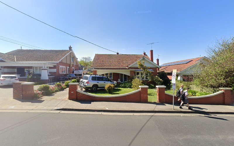 Geelong Dog Wash and Grooming - Dog groomer in Newtown