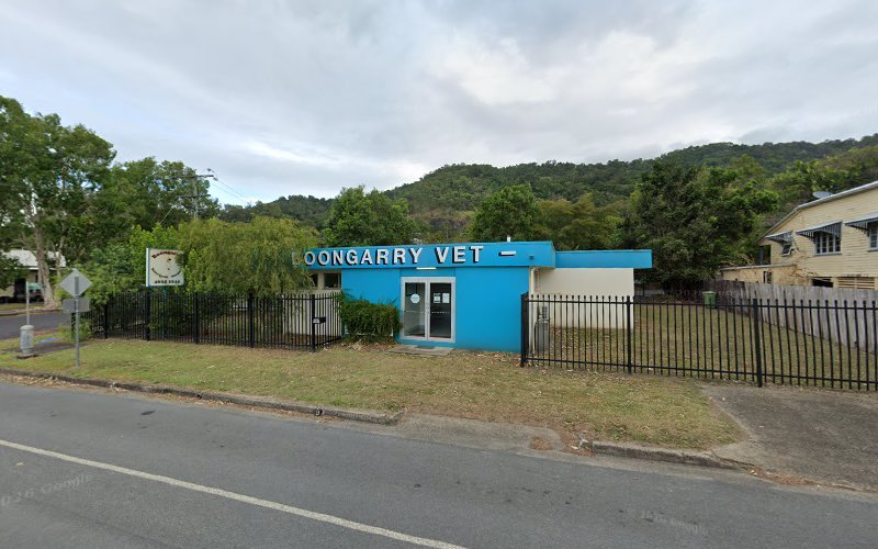 Aeroglen Veterinary Surgery - Dog groomer in Aeroglen