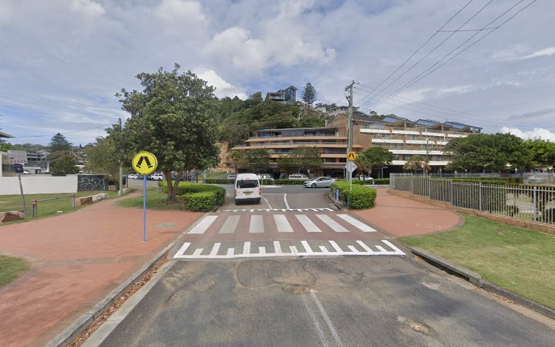 Blue Wheelers - Dog groomer in Avoca Beach
