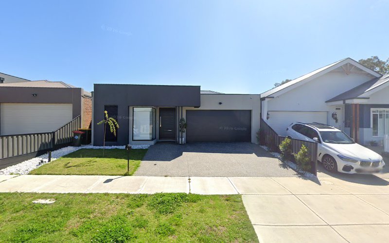 Cat Grooming Salon - Dog groomer in Greenvale