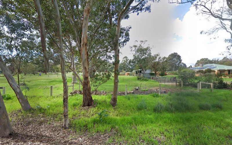 Angels’ Eyes Australia - Dog groomer in Serpentine