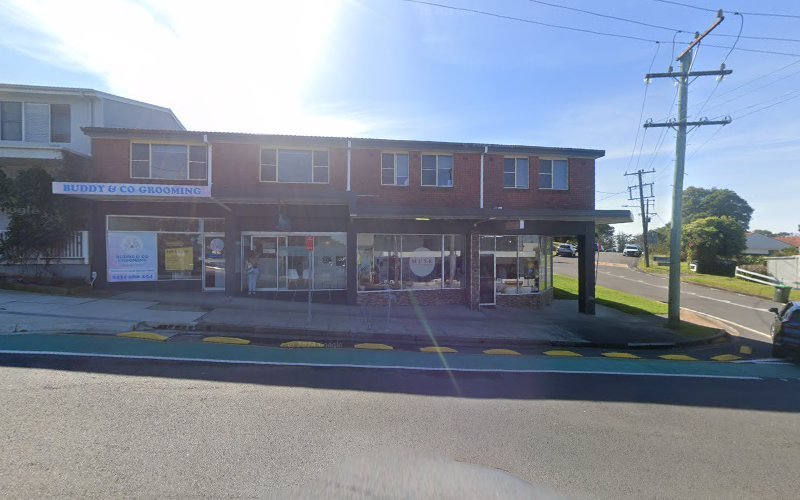 Buddy & Co Grooming – Dudley - Dog groomer in Dudley