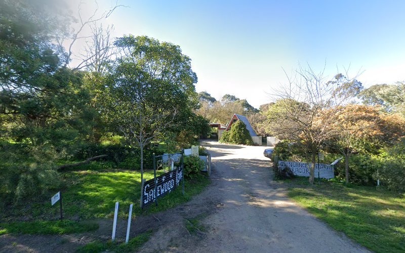 Sagewood Boarding Kennels - Dog groomer in Mosquito Hill