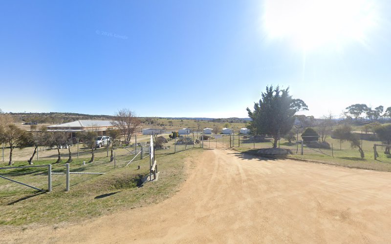 Berridale Pets Holiday Lodge - Dog groomer in Berridale