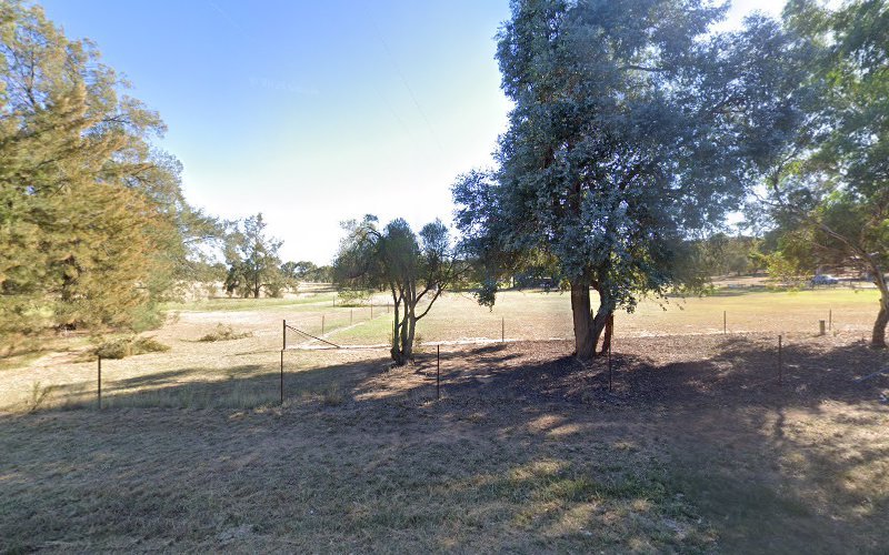 Kyeamba Kennel & Training Club (Wagga Wagga) - Dog groomer in San Isidore
