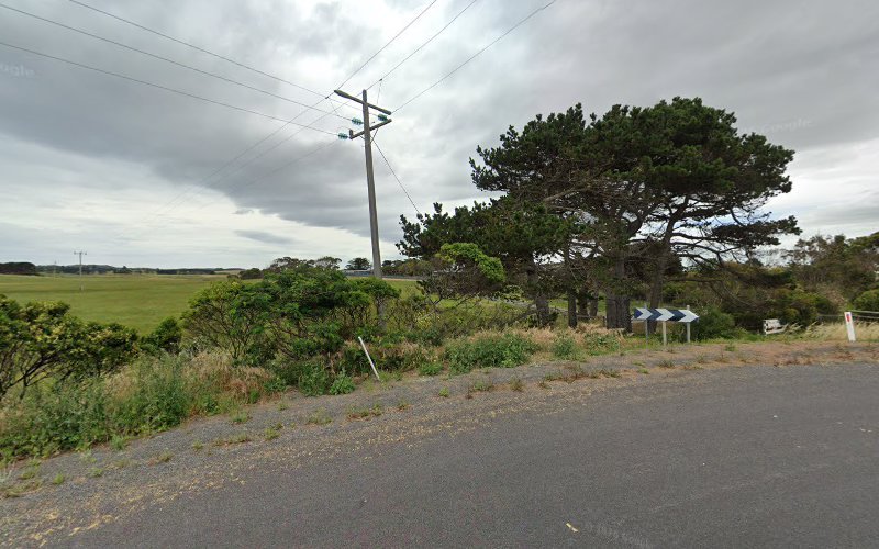 Port Fairy Boarding Kennels - Dog groomer in Port Fairy