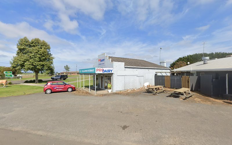 Nullawarre Veterinary Clinic - Dog groomer in Nullawarre