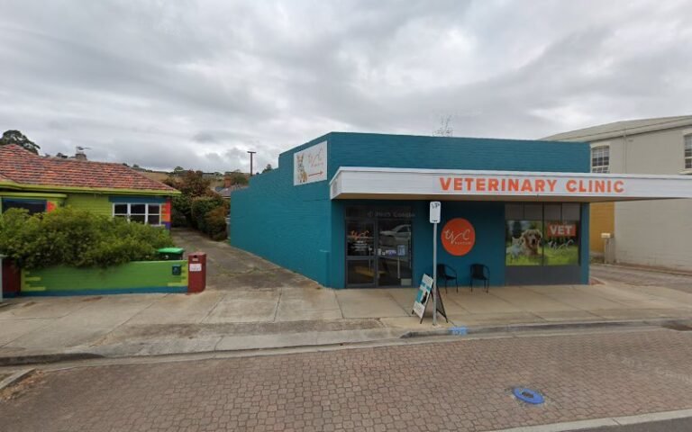 The Best of The Best Vet - listing photo