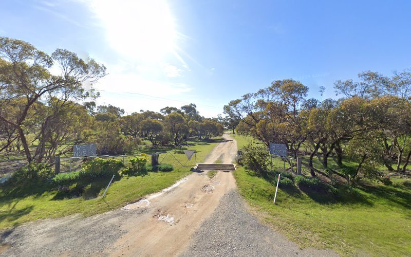 Wet Noses Kennels - Dog groomer in Warracknabeal