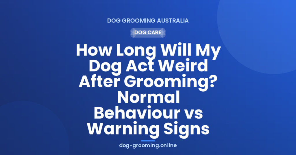 How Long Will My Dog Act Weird After Grooming? Normal Behaviour vs Warning Signs