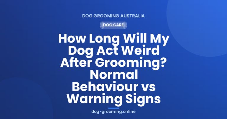 How Long Will My Dog Act Weird After Grooming? Normal Behaviour vs Warning Signs