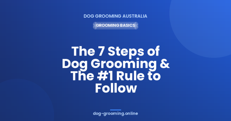The 7 Steps of pet grooming & The #1 Rule to Follow