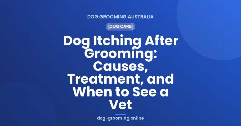 Dog Itching After Grooming: Causes, Treatment, and When to See a Vet