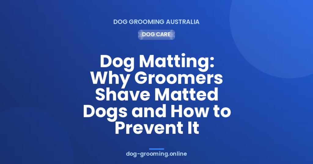 Dog Matting: Why Groomers Shave Matted Dogs and How to Prevent It