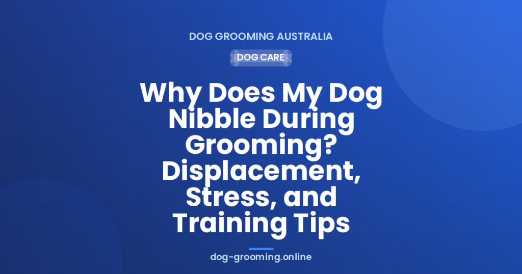 Why Does My Dog Nibble During Grooming? Displacement, Stress, and Training Tips