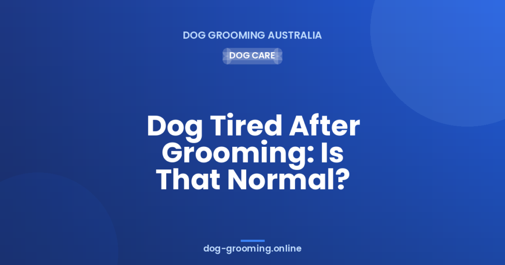 Dog Tired After Grooming: Is That Normal?