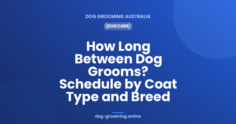 How Long Between Dog Grooms? Schedule by Coat Type and Breed