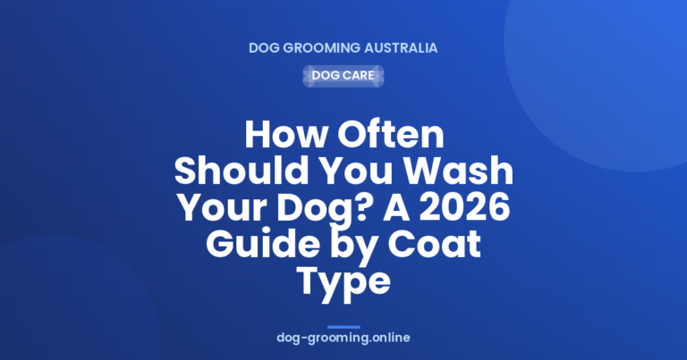 How Often Should You Wash Your Dog? A 2026 Guide by Coat Type