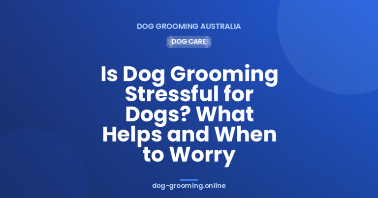 Is pet grooming Stressful for Dogs? What Helps and When to Worry