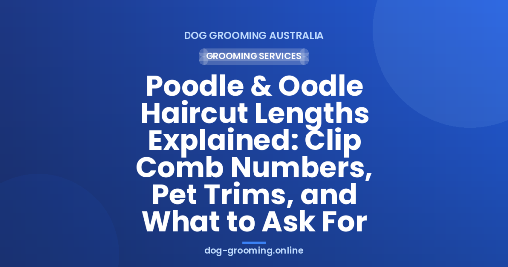 Poodle & Oodle Haircut Lengths Explained: Clip Comb Numbers, Pet Trims, and What to Ask For