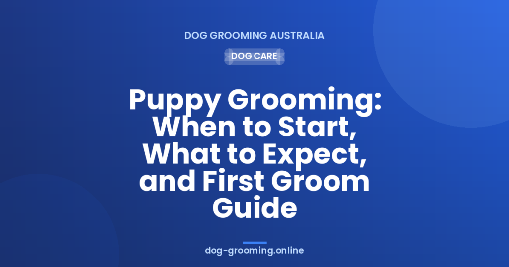 Puppy Grooming: When to Start, What to Expect, and First Groom Guide