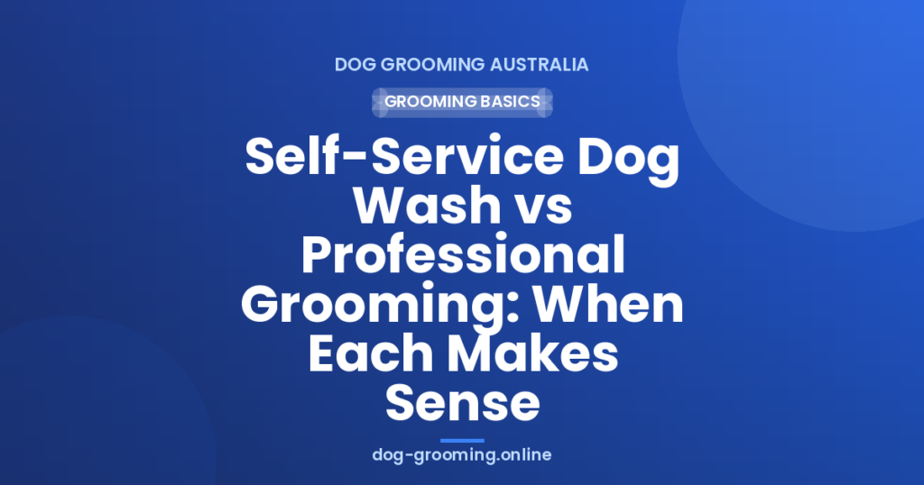 Self-Service Dog Wash vs Professional Grooming: When Each Makes Sense
