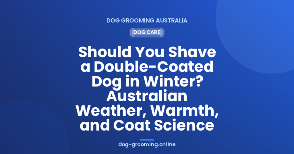Should You Shave a Double-Coated Dog in Winter? Australian Weather, Warmth, and Coat Science