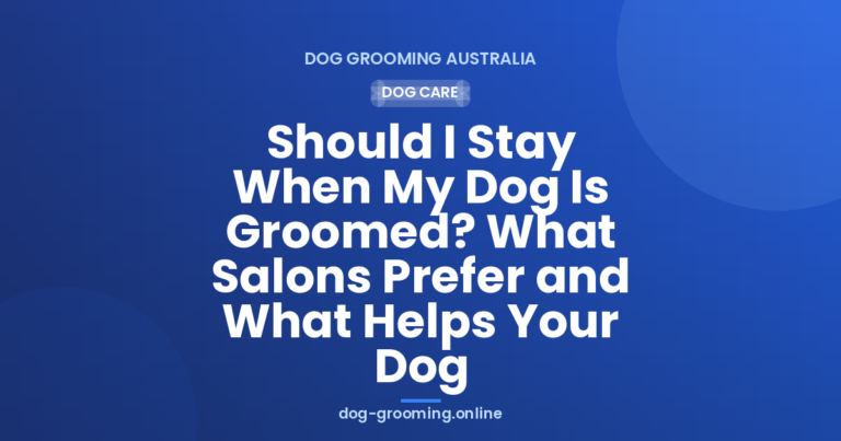 Should I Stay When My Dog Is Groomed? What Salons Prefer and What Helps Your Dog