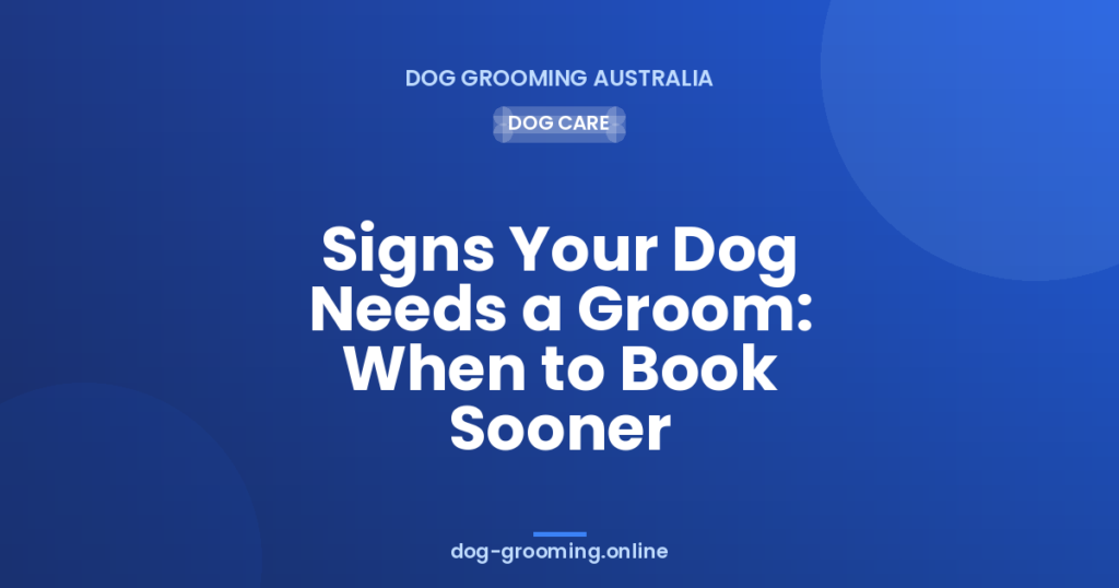 Signs Your Dog Needs a Groom: When to Book Sooner