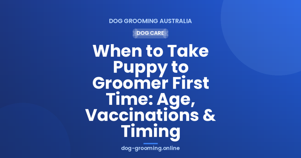 When to Take Puppy to Groomer First Time: Age, Vaccinations & Timing
