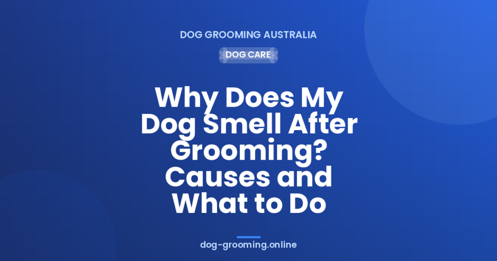 Why Does My Dog Smell After Grooming? Causes and What to Do