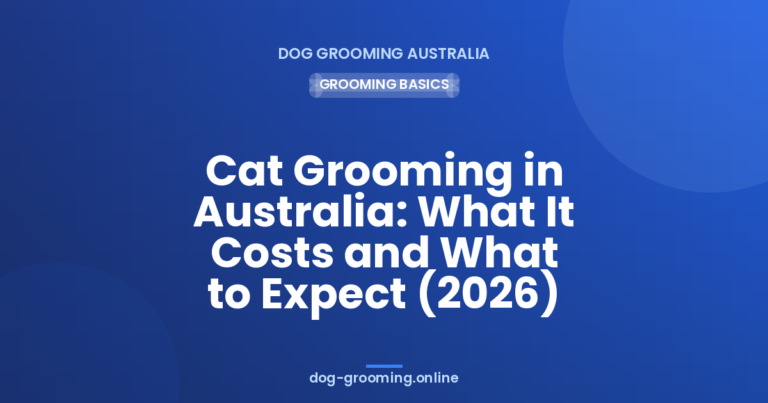 Cat Grooming in Australia: What It Costs and What to Expect (2026)