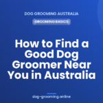 How to Find a Good Dog Groomer Near You in Australia