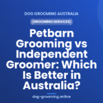 Petbarn Grooming vs Independent Groomer: Which Is Better in Australia?
