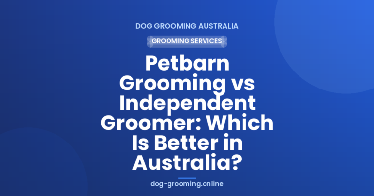 Petbarn Grooming vs Independent Groomer: Which Is Better in Australia?
