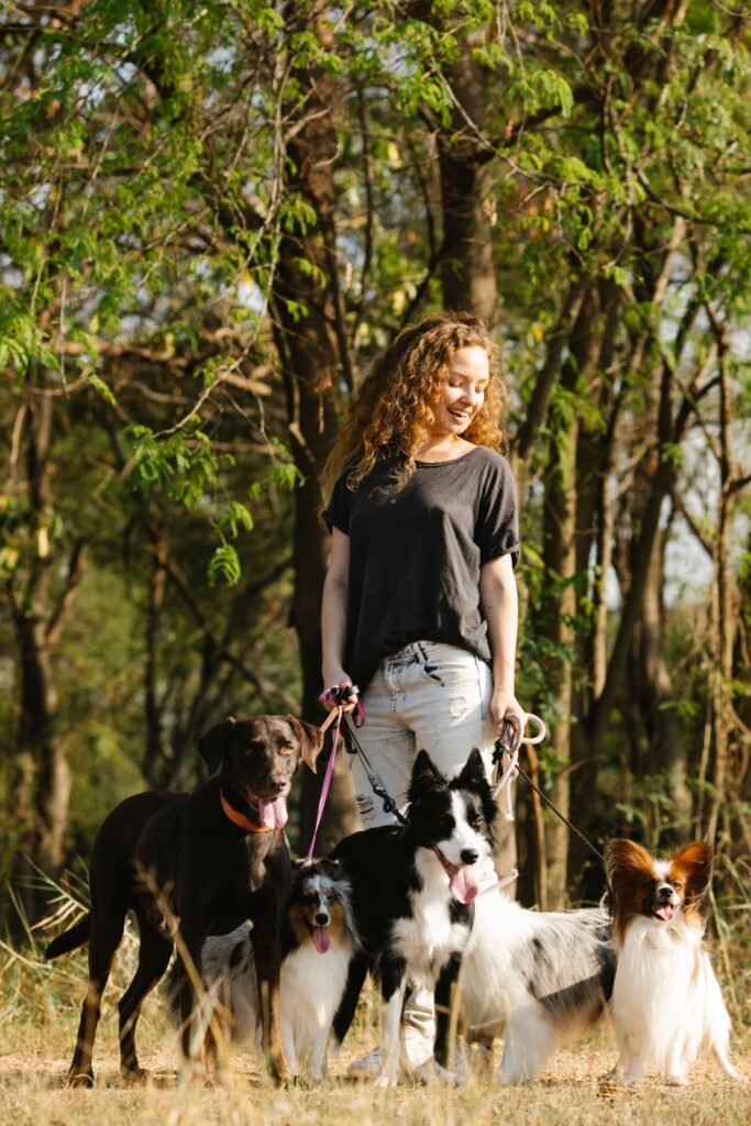 Mobile Dog Grooming Cost in Sydney (2026 Price Guide)